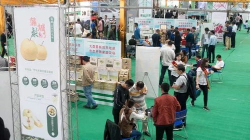 這一年，我們不一樣——禮儀服務(wù)的變革與堅(jiān)守